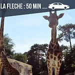 Sweet Nina Jazz Pour 5 Voyageurs, Situe A La Place De La Republique, Avec Parking Et Lit Queen Size * Le Mans