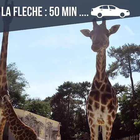 Sweet Nina Jazz Pour 5 Voyageurs, Situe A La Place De La Republique, Avec Parking Et Lit Queen Size * 勒芒