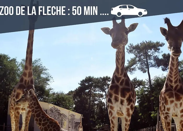 Sweet Nina Jazz Pour 5 Voyageurs, Situe A La Place De La Republique, Avec Parking Et Lit Queen Size * ルマン